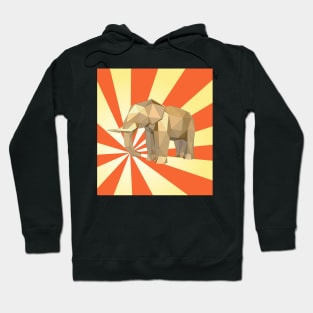 Colorful Elephant In Sun Ray Hoodie